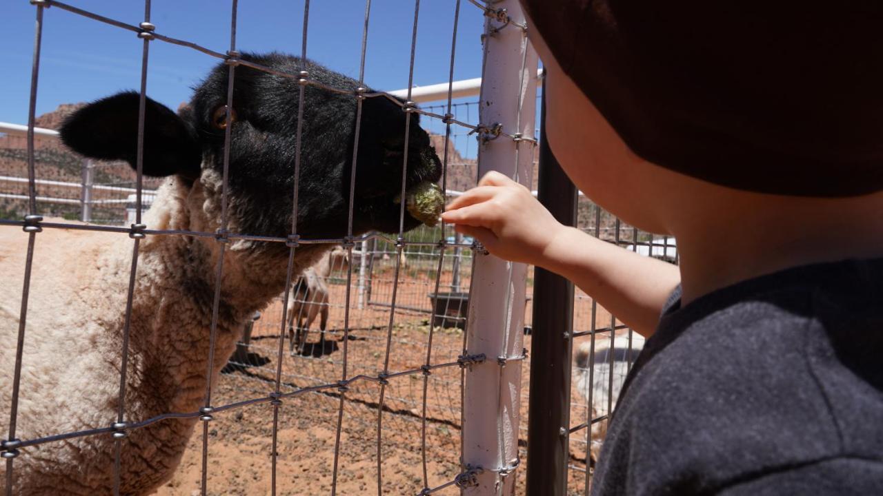 Zion View Camping Hildale エクステリア 写真